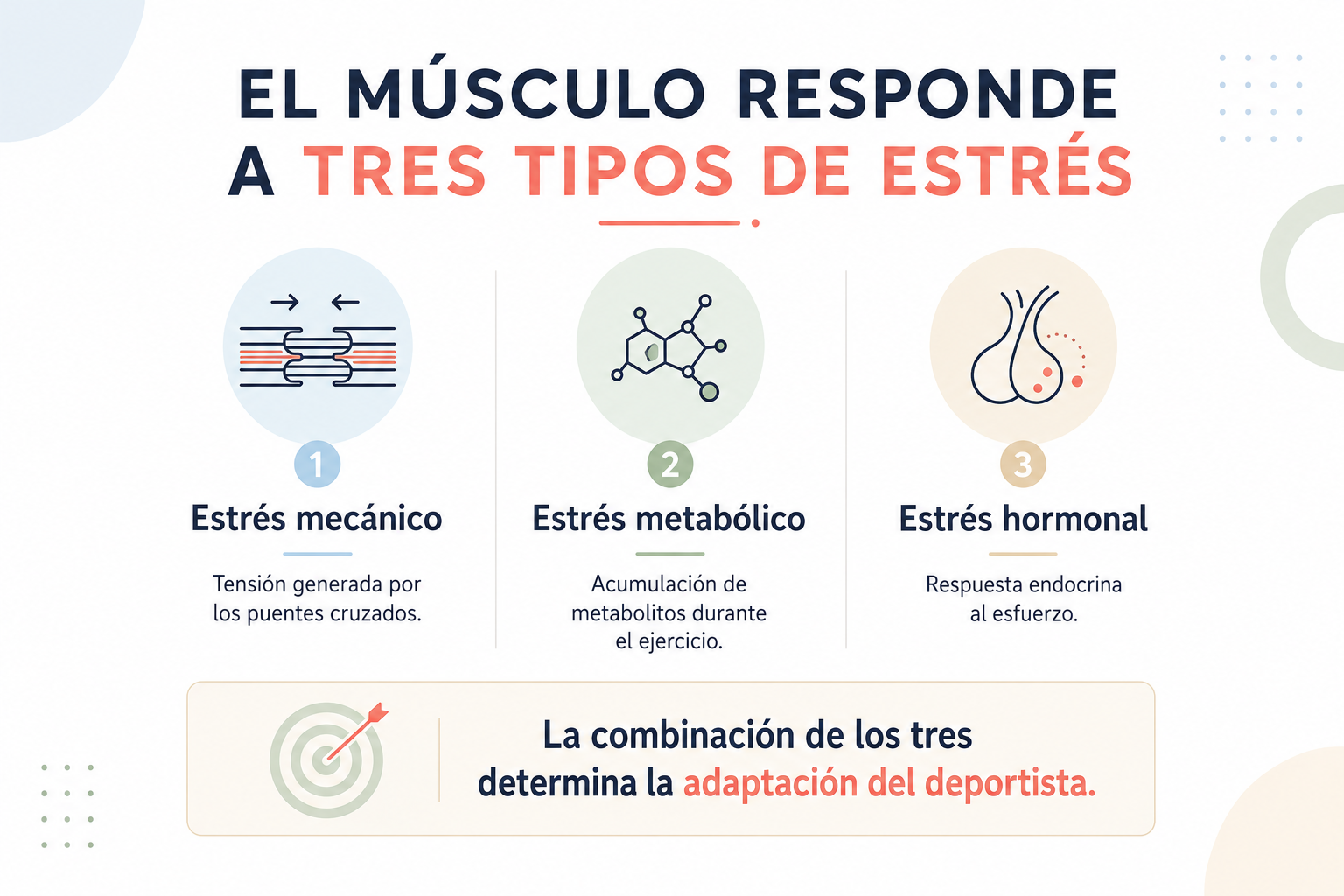 imagen_6a8df80020171.png