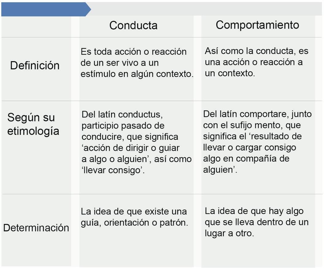 imagen_69e7bdf4ee549.jpg