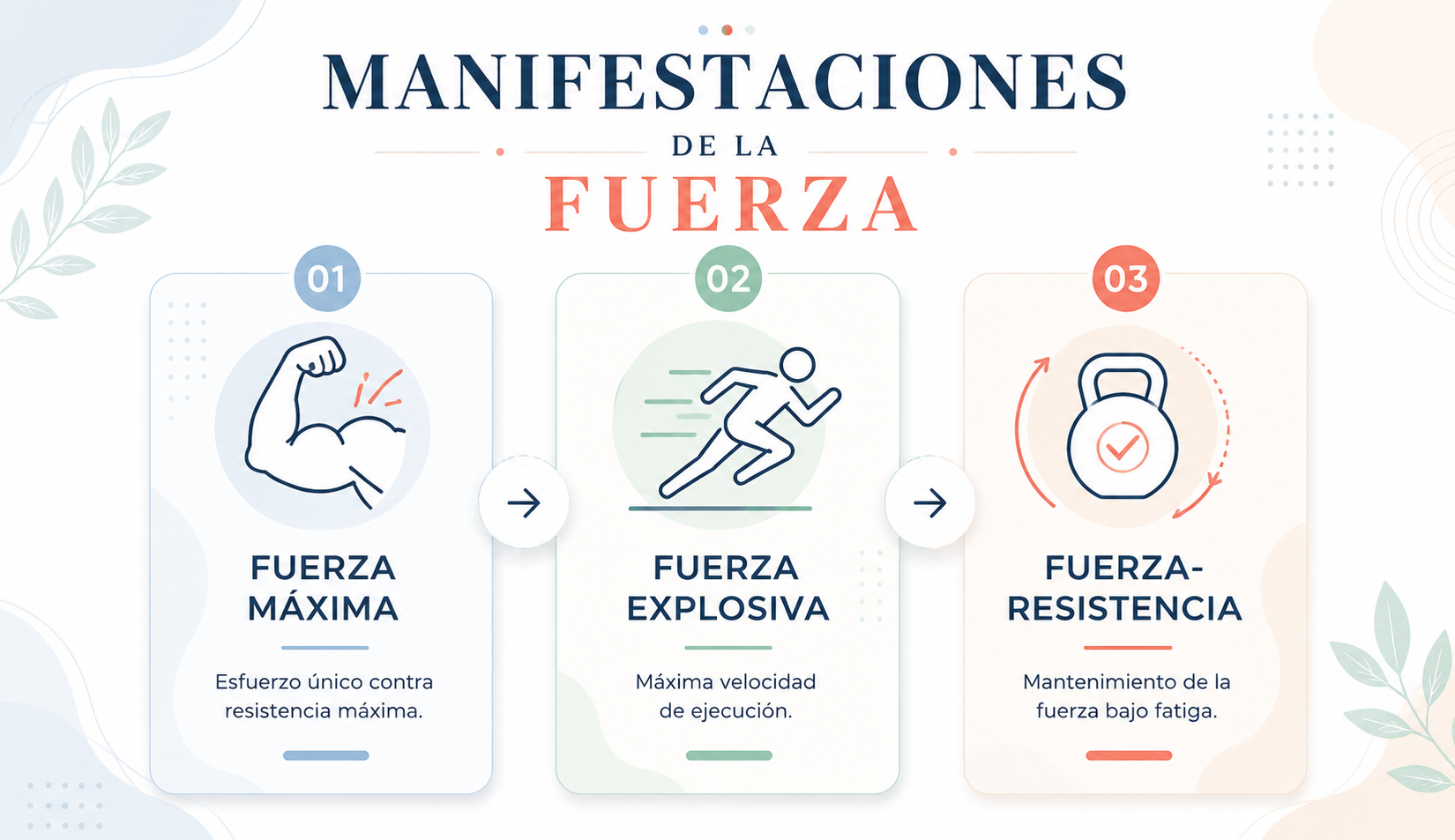 imagen_6a2b3b2755f95.png