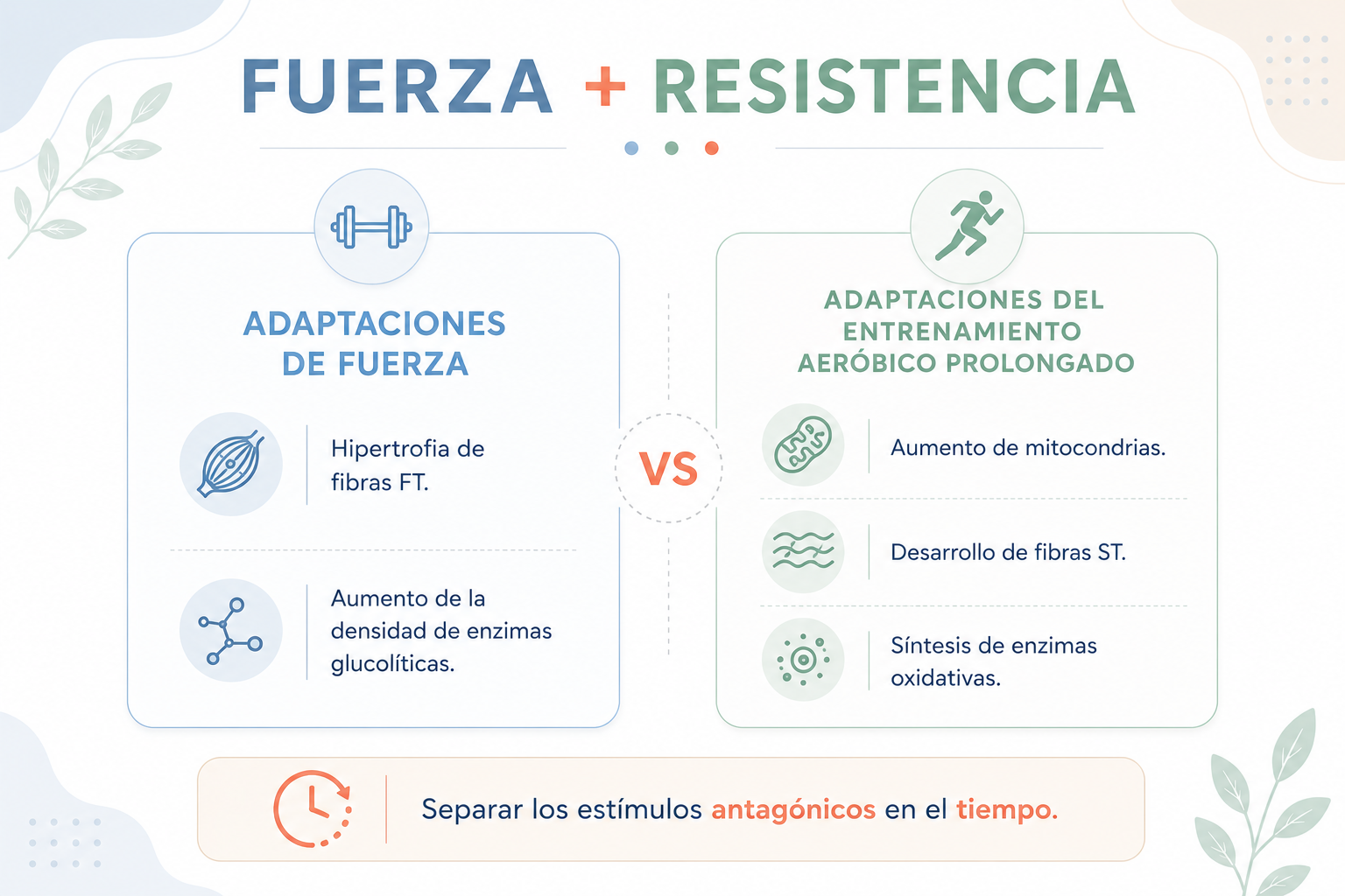 imagen_6a2b3bfc1cf16.png